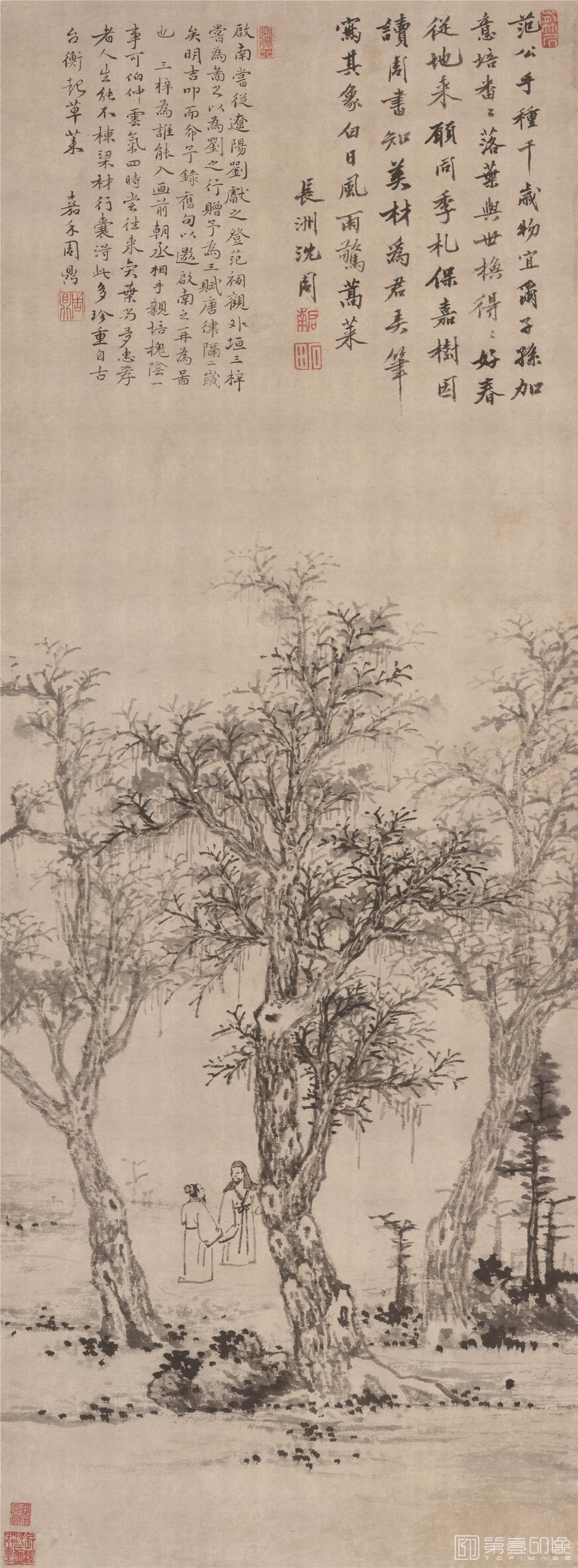 三棵梓树图轴纸本-70×189cm-沈周-国画作品-第壹印像